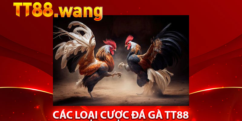 Đá Gà TT88 – Trải Nghiệm Cá Cược Đỉnh Cao - Kịch Tính 2 Các Loại Cược Đá Gà TT88
